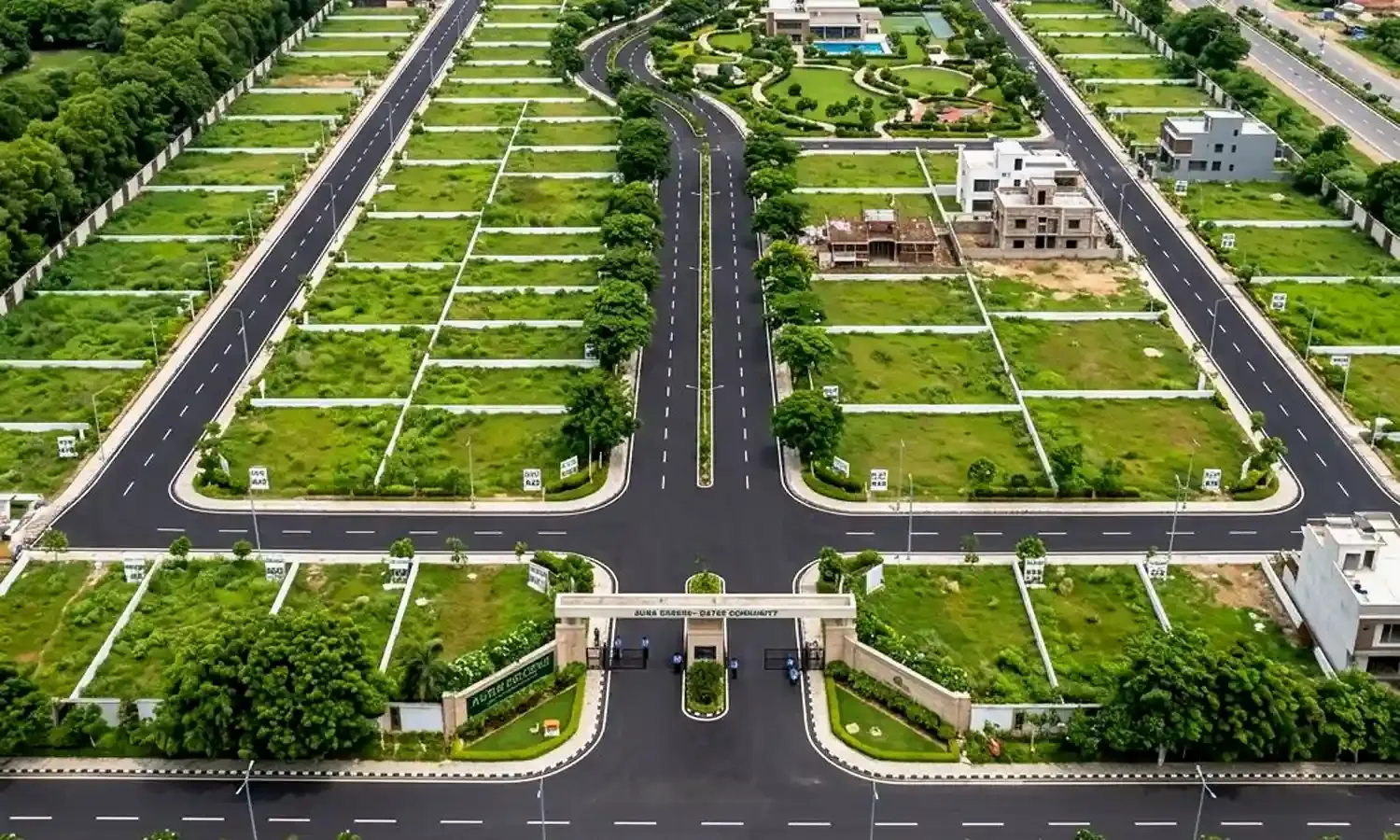 Plot View
